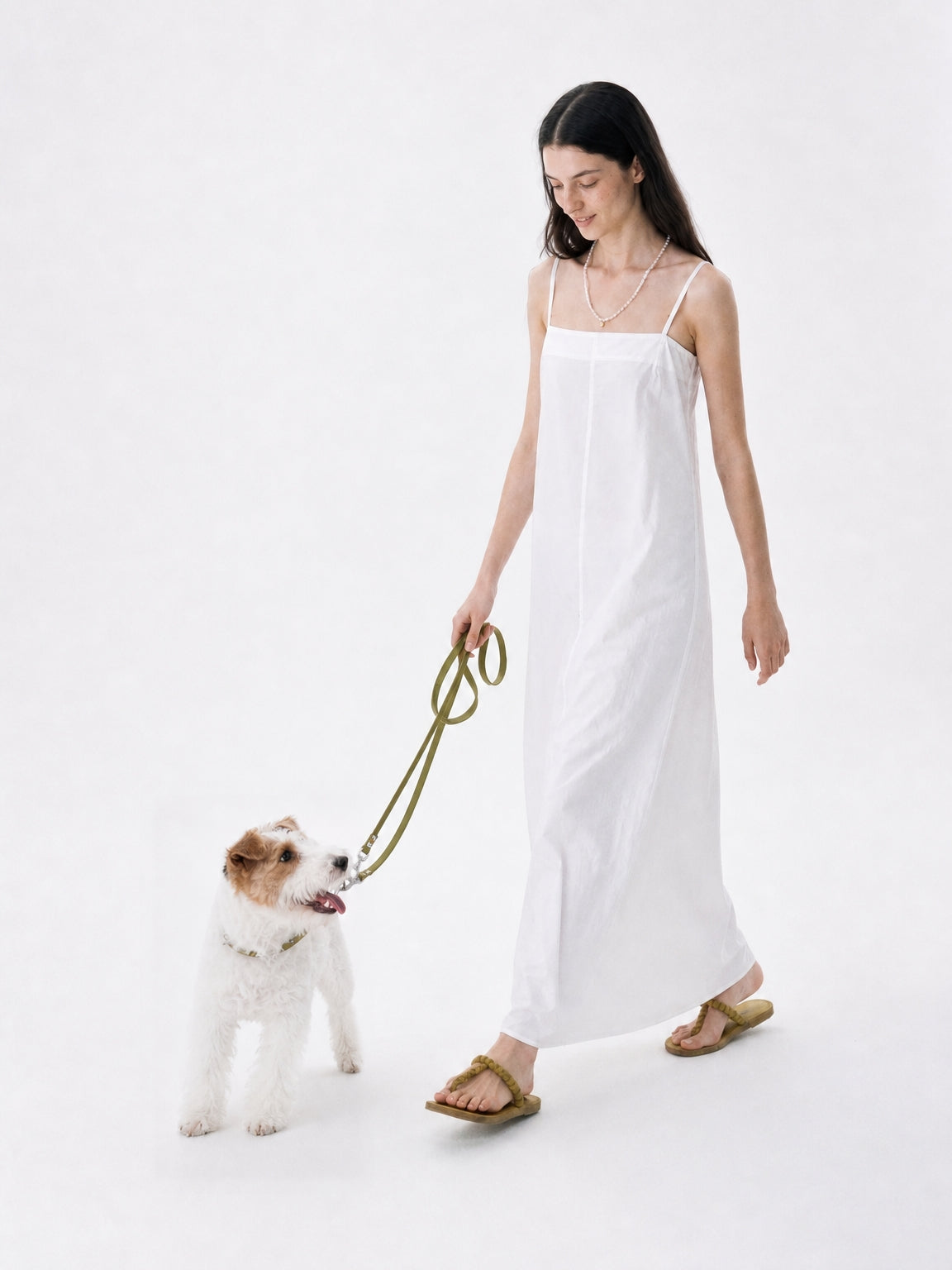 The Cord · Moss - Waterproof Adjustable Dog Leash