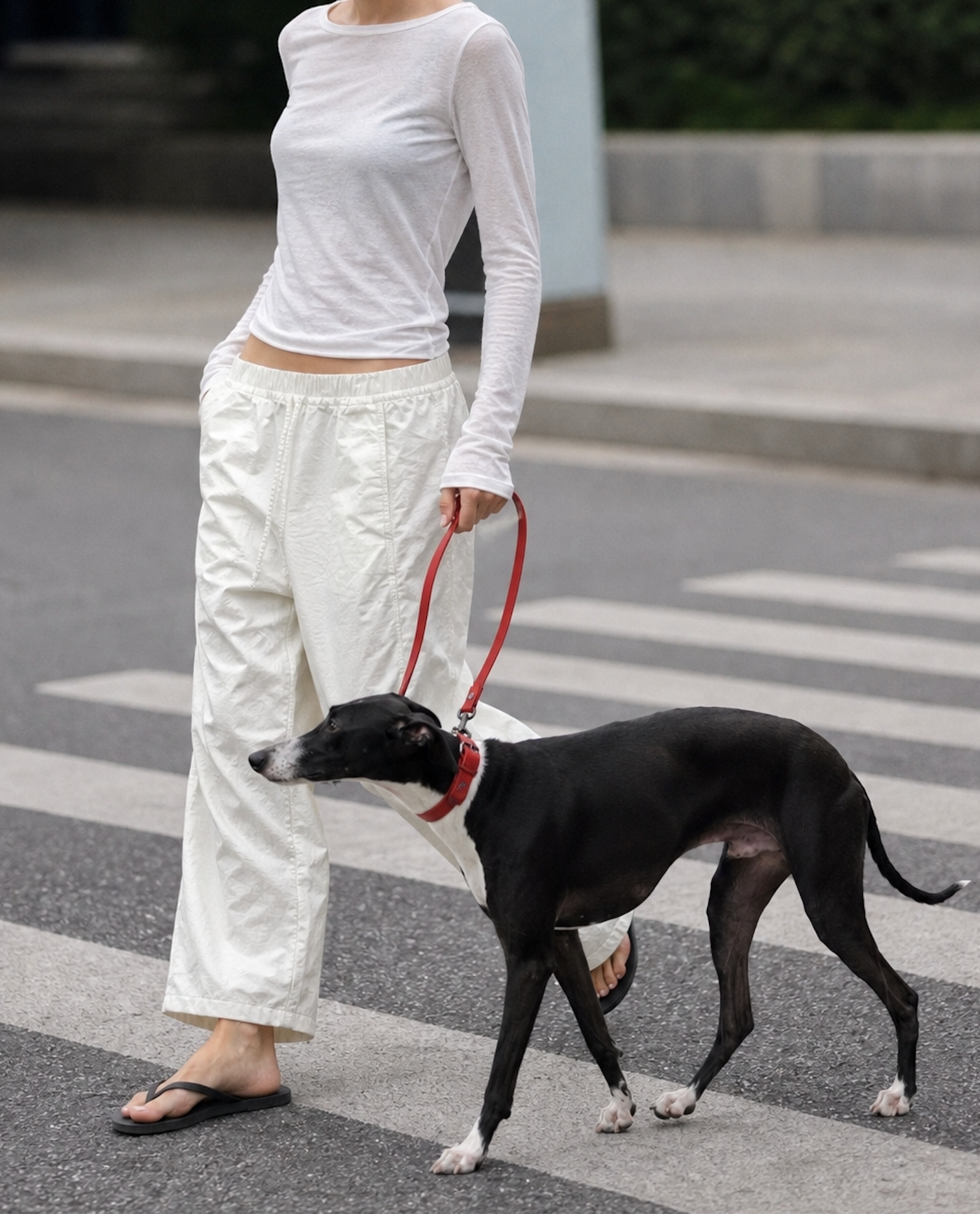 The Cord · Rouge - Waterproof Adjustable Dog Leash