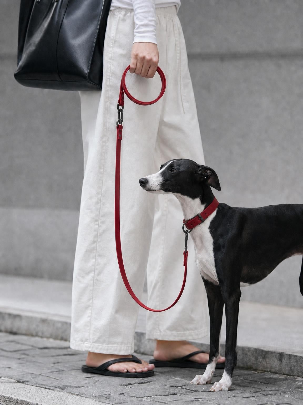 The Cord · Rouge - Waterproof Adjustable Dog Leash
