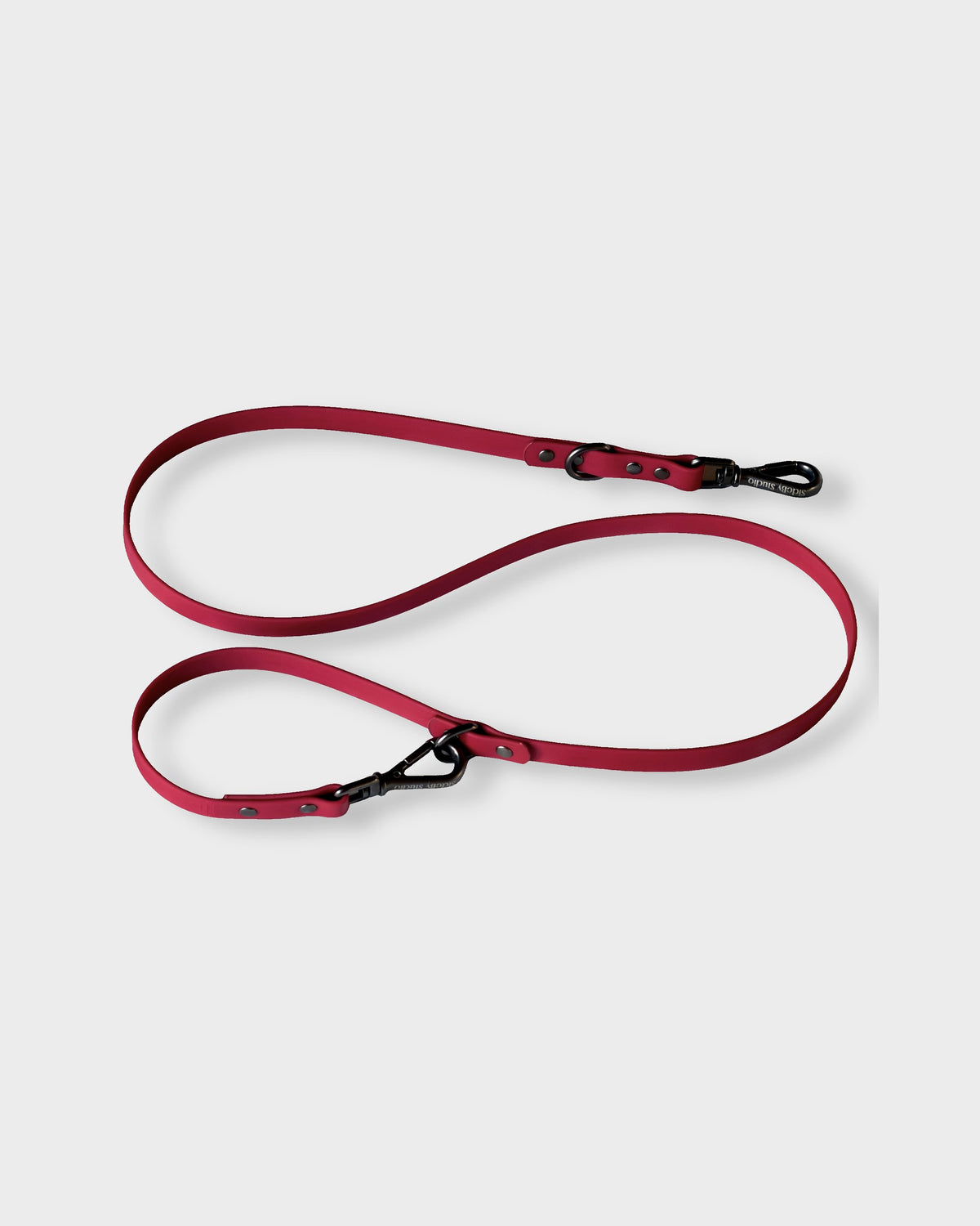 Leash