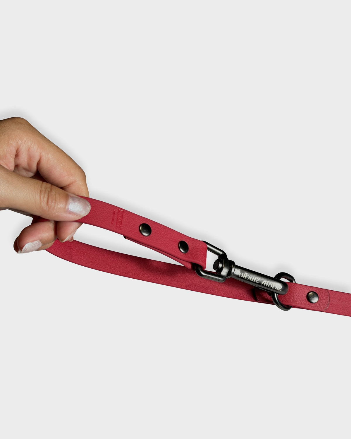 The Daily Range · Rouge — Waterproof Dual-Control Leash & Collar Set
