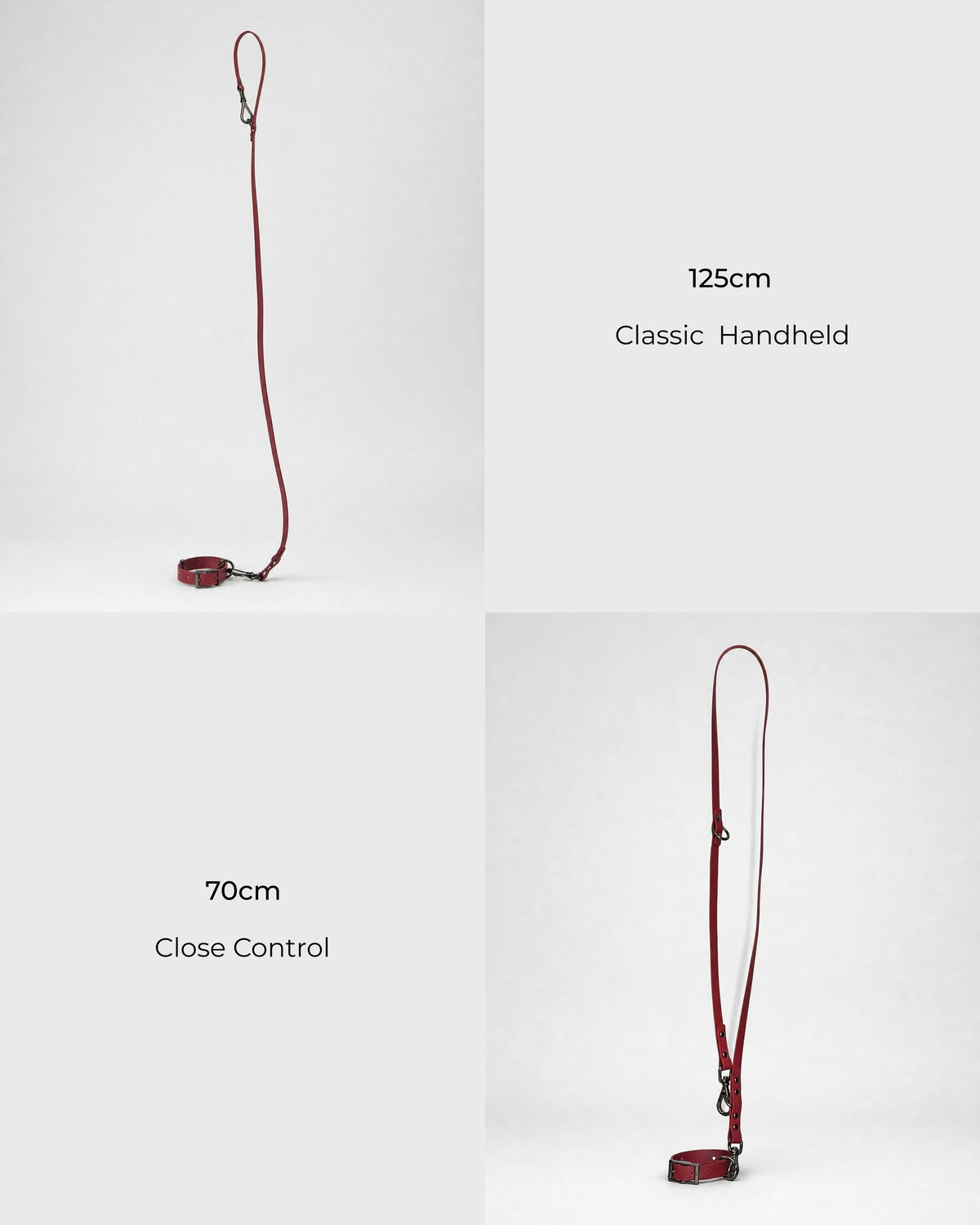 The Daily Range · Rouge — Waterproof Dual-Control Leash & Collar Set