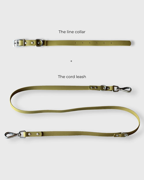 The Daily Range · Moss - Waterproof Dual-Control Leash & Collar Set